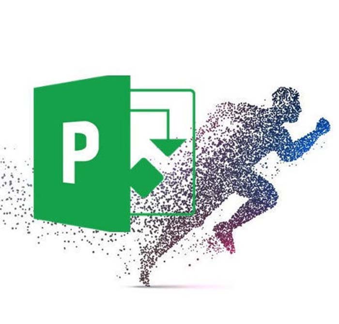 Picture of Microsoft Project