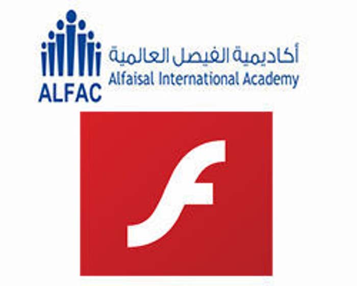 Picture of Flash program