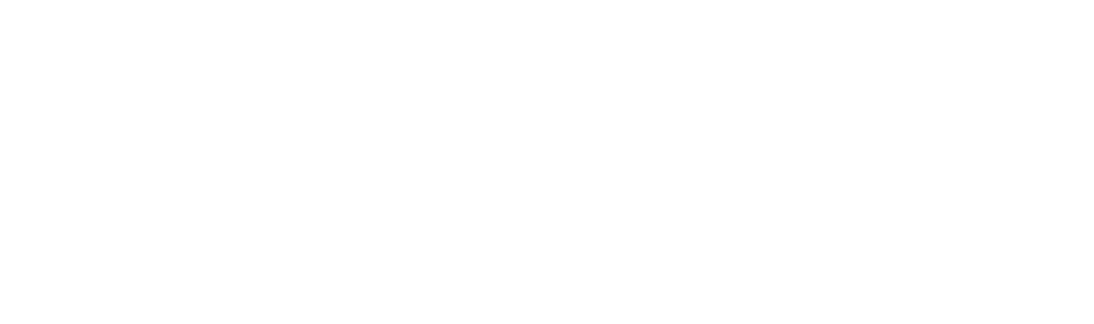 أكاديمية الفيصل العالمية